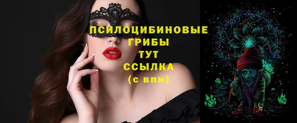 крисы Пестово
