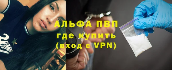 jwh Пересвет