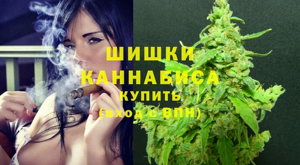 jwh Пересвет