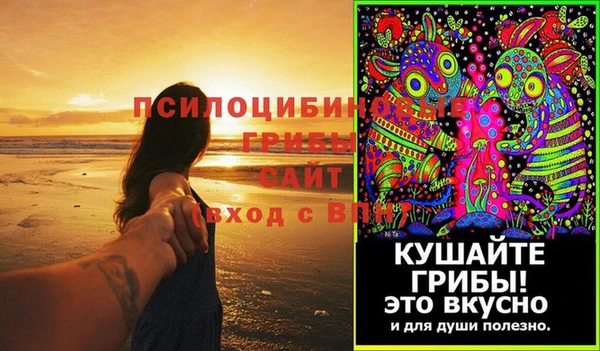 тгк Переславль-Залесский